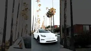 Electric Cars vs Petrol Cars: Which One Wins the Race?