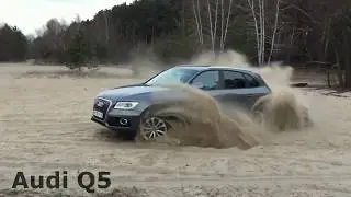 Audi Quattro Best Off road Compilation