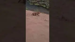 Немного искупался