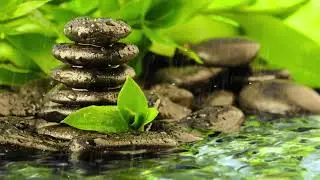 Relax music. 🎶 Шум дощу для кращого сну. Rain sound for better sleep.