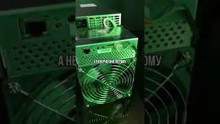 Доход Whatsminer M50 ⚡️ 