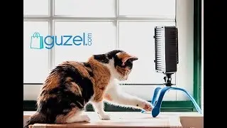Pictar Iphone Camera Grip - Guzel.com