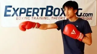 Common Traits Found in Talented Beginner Fighters