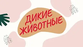 Развивающее видео для детей. Дикие животные.