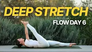 Deep Stretch & Flow | 30 Min | Day 6 Flow Challenge