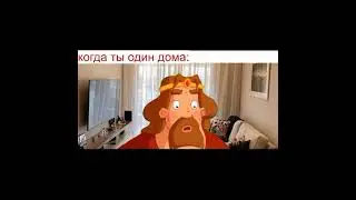 шорохи какие то
