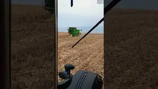 Уборка кукурузы 2021.