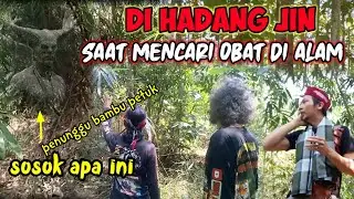 DI HADANG RAJA JIN SAAT MENCARI OBAT DI ALAM#obatherbal #pusakabertuah #pusakanusantara