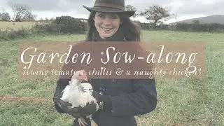 Cottage Garden SOW-ALONG Tomatoes, Chillies plus a naughty chicken!