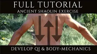 Shaolin Xinyiba - Eagle exercise tutorial (Qigong / breathing, Body mechanics, coordination)