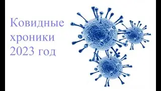 Ковидные хроники