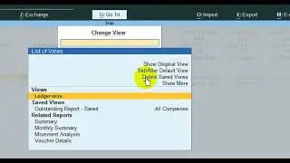 Customized or saved reports in tally prime no need TDL (create / delete)