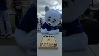 13 июня 2024 г.