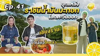 กินเที่ยว #เชียงราย Ep. 41 | 12 ต.ค. 67 lน้ำมันเมล็ดคามีเลีย l ร้านเมล็ดชาlขนมจีนน้ำเงี้ยว by สุภาวี