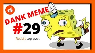 REDDIT Dank Memes - Dank Meme Compilation #29 | our meme world