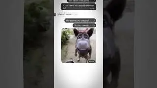 Selling a house near a cemetery on Avito