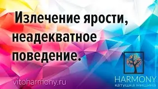 45 5 Воздействие на ярость, неадекватное поведение