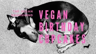 *HOMEMADE DOG EASY CUPCAKES* *GLUTEN FREE* *OIL FREE* *PLANT BASE* *VEGAN**NO-FROSTING* *EN/ES*