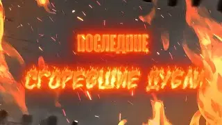 ПОСЛЕДНИЕ СГОРЕВШИЕ ДУБЛИ
