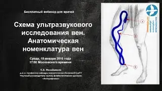Вебинар Схема ультразвукового исследования вен. Анатомическая номенклатура вен нижних конечностей