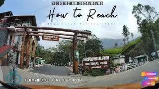 how to reach eravikulam national park safari point from munnar rose garden kannan devan hills kerala