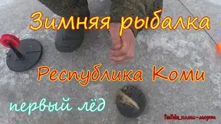 Рыбалка по первому льду в Республике Коми. Зимняя рыбалка на жерлицы.