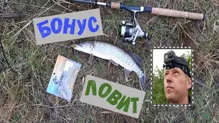 Приятный бонус ловит. Ловля на резину. Рыбалка на спиннинг в декабре.