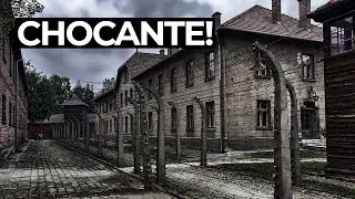 One Day In AUSCHWITZ [STRONG SCENES]