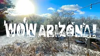 WOW Arizona! Desert Snow Morning