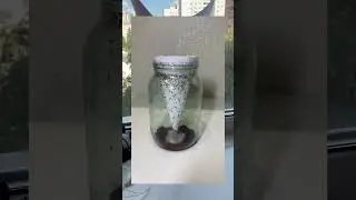 Лайфхак: Секреты создания ловушки для мошек! 