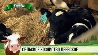 Сельское хозяйство ДЕЕВСКОЕ.