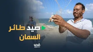 فلسطينيون يبحثون عن رزقهم بصيد طير السمان على شاطئ بحر دير البلح بقطاع غزة