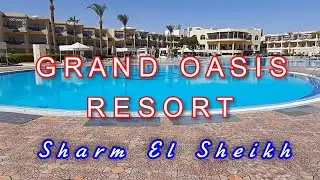 GRAND OASIS RESORT 4* Шарм Эль Шейх. Обзор номера,завтрак ,пляж