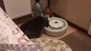 Жажда