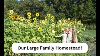 OVERGROWN in August - Successes & Failures in the Garden!