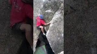 Hot Dog Delirium V9/10