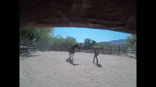 Check's Journey Part 2. (Check's Second Ride. Oh, and a new name.)