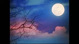 #message of love #youtube shorts