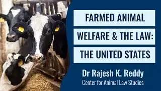 Farmed Animal Welfare & the Law: United States