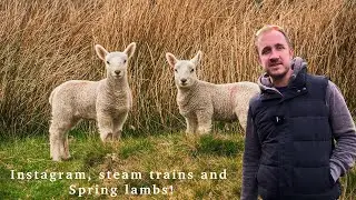 Instagram + Steam Trains + Spring Lambs in North Yorkshire