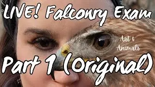 We Take the FALCONRY EXAM! Live!! (Original Post/Part 1)