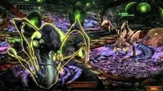 StarCraft 2: Heart of the Swarm - Review