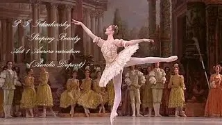 Sleeping Beauty - Act 1 Aurora Variation (Dupont)