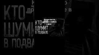Мем: кто то шумит в подвале 😨😨😨