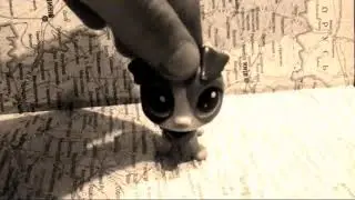 ( Msicu Video )  Медуза MATRANG
