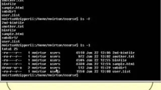 Linux and Unix Basics : Commands for Files and Directories Part 1