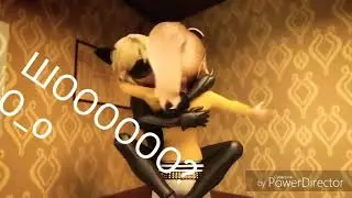 ШОК! КОТ НУАР ЦЕЛУЕТ ХЛОЮ!!! ЧТО БУДЕТ ДАЛЬШЕ?