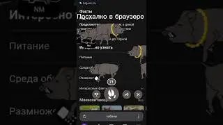 что писать??