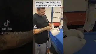 consejo para secar bien los guantes.. #coachricardo  #guadalajaraboxingstyle  #boxeo #boxeotapatio