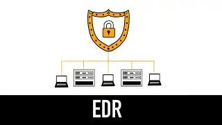 EDR : comprendre l'essentiel en 5 minutes